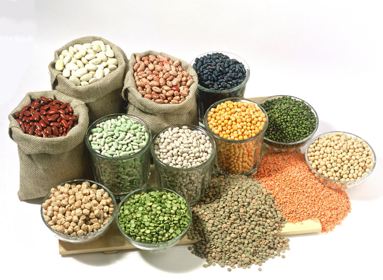 Millet foods