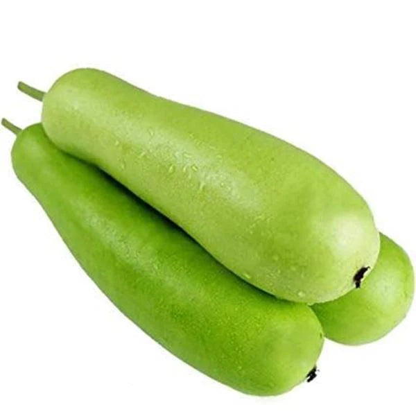 Bottle Gourd (Lauki)/Sorrakaya