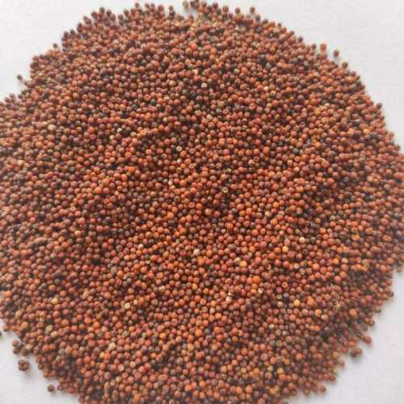 Annam ragi/ kurakkan millet 500gms