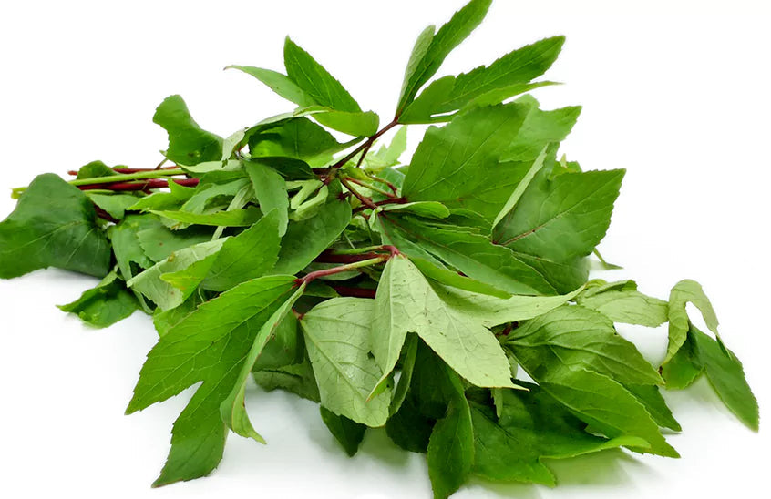 Gongura/puntikura/sorel leaves