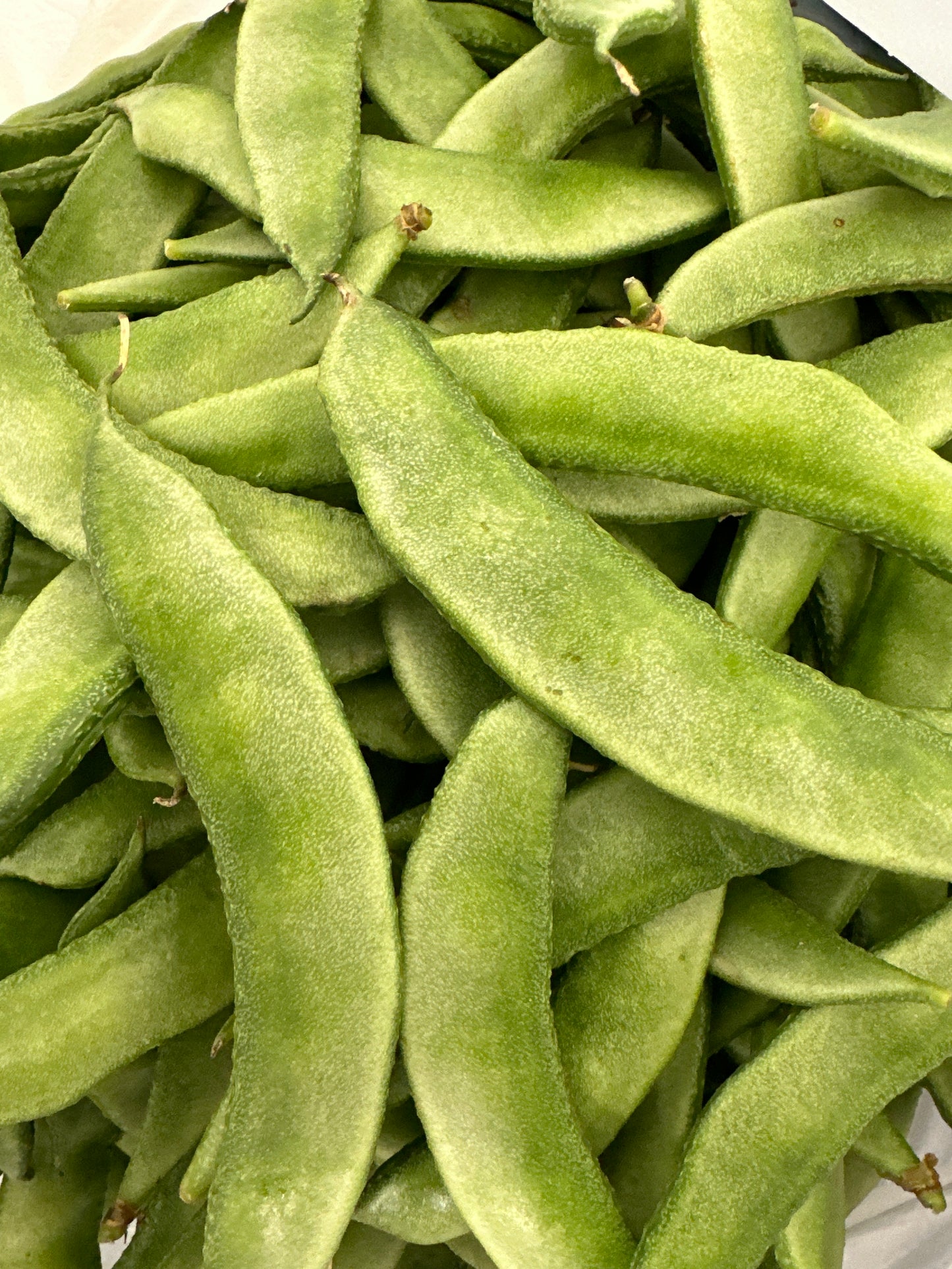 Flat Beans