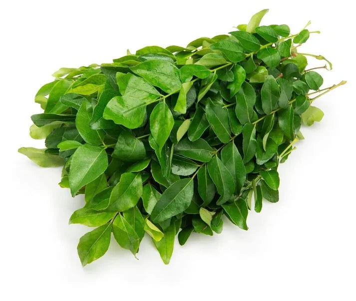 Fresh Curry Leaves only leaves
