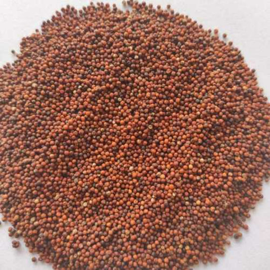 Annam ragi/ kurakkan millet 500gms
