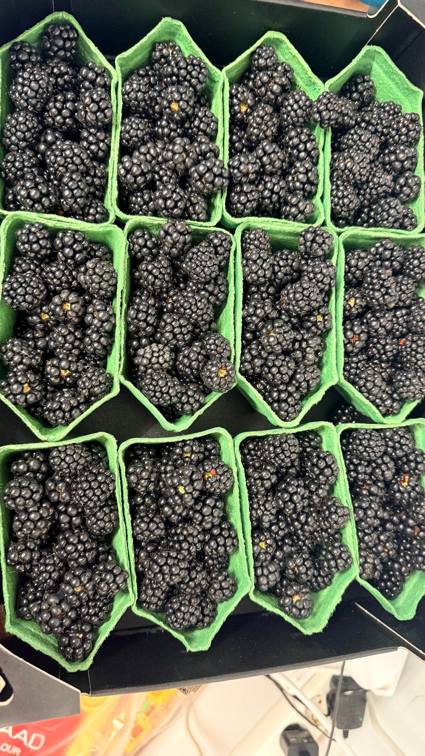 Blackberries