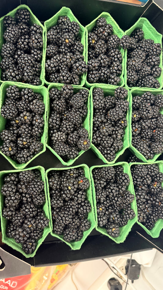 Blackberries