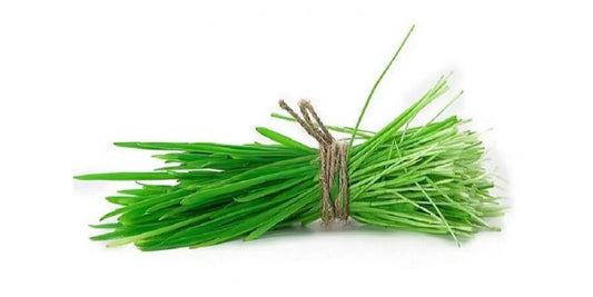 Durva grass / Doob / Arugampullu / Garike /
